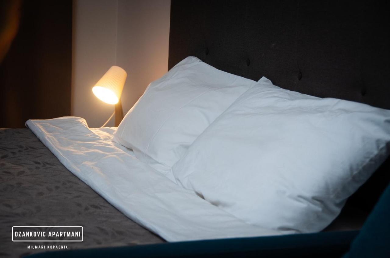 Apartmani Dzankovic Kopaonik Exteriör bild