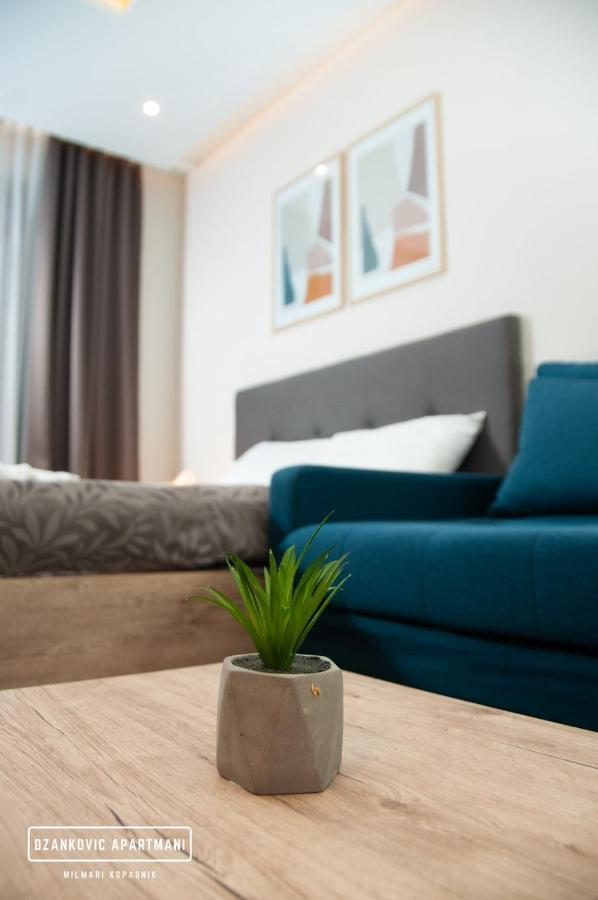 Apartmani Dzankovic Kopaonik Exteriör bild